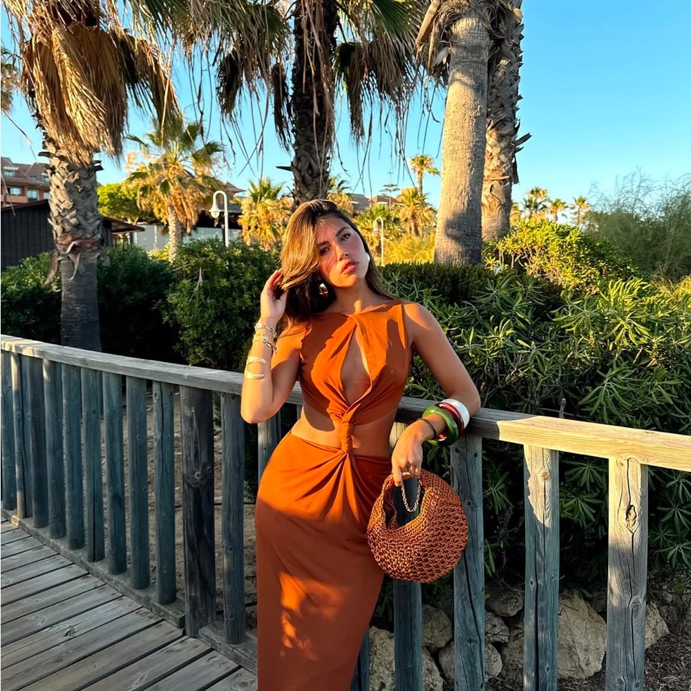 ZARA Open Back Cut-Out Dress